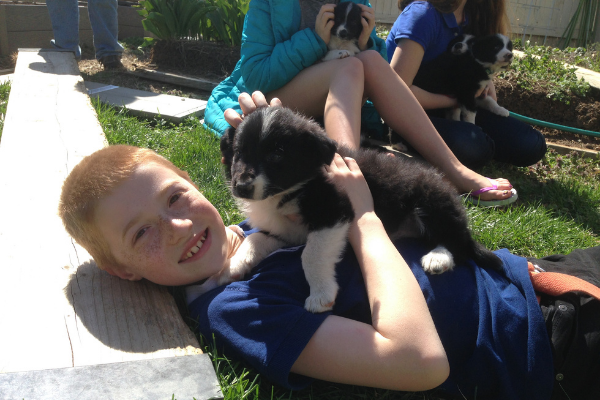 Boy with puppy